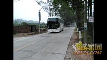 增城新闻爆料,独家爆料，揭秘增城最新动态