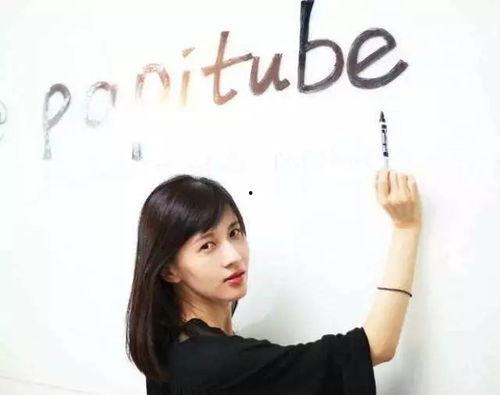 社长和安妮爆料视频合集,视频合集深度解析